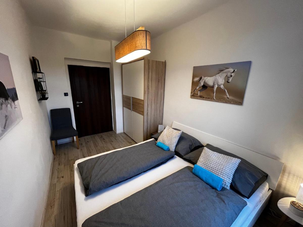 Large 3 Bedroom Apartment With City Skyline View Karlovy Vary Exteriér fotografie