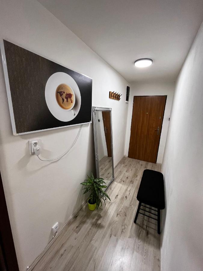 Large 3 Bedroom Apartment With City Skyline View Karlovy Vary Exteriér fotografie